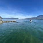 LAC DU BOURGET